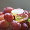 克伦森无籽红提（秋红） 商品缩略图4