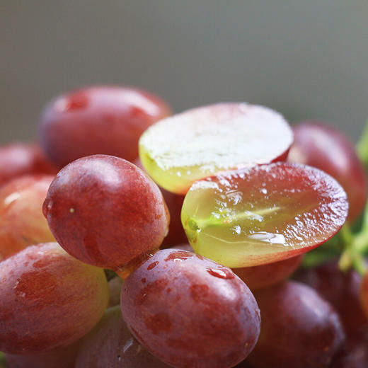 克伦森无籽红提（秋红） 商品图4