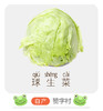 赞字村球生菜 商品缩略图0