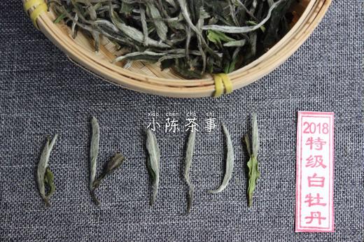 2018高山抛荒牡丹王（特级白牡丹） 商品图2