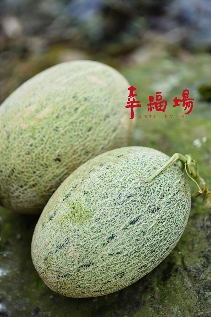 自提详细地址 秀丽东方11:00-18:00 地址:四川省成都市锦江区三圣乡