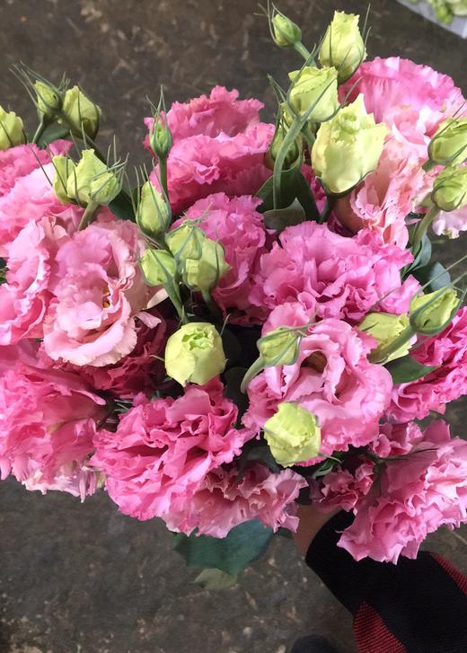 波浪粉色洋桔梗3-6枝一扎