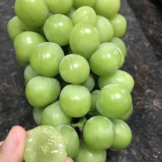 阳光玫瑰 又称相印青提 2斤/3斤±200g （48-72小时发货） 商品图11