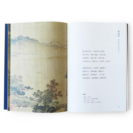 诗画共读 东坡词选山水宋画版  文学 商品图3