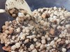 炒盐包U型装 商品缩略图2