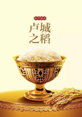 【券码提米】镜响卢城之稻5kg尊享装(新老包装随机发货）