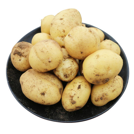 密云农家沙地现挖小土豆包邮  个头小巧  皮薄肉糯  又沙又面 商品图5