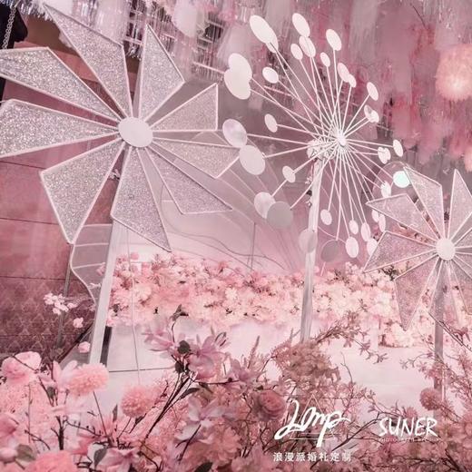 电动风车三件套【运费自理】 商品图1