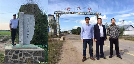 【券码提米】镜响卢城之稻5kg尊享装(新老包装随机发货） 商品图1