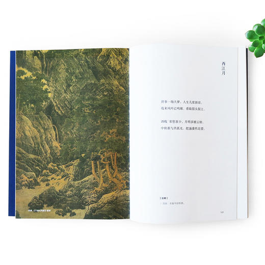 诗画共读 东坡词选山水宋画版  文学 商品图2