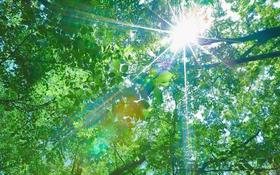 “五毒月” 到底有多毒？为什么你的湿疹反反复复不会好？