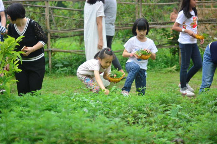 艾草纯露套装补水止痒中山耕读心园