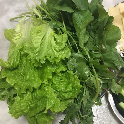 鸿翠园 有机绿叶生菜 商品图10