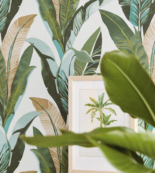 【画作】北欧ins绿植叶子壁纸