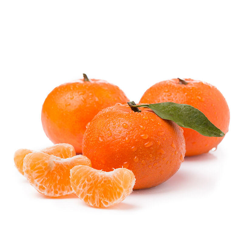 南非蜜柑10枚【京仓发货】