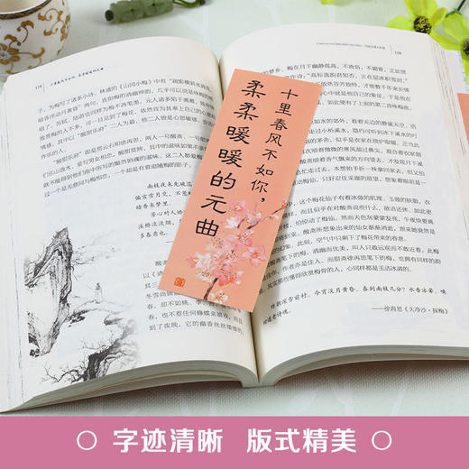 中国古诗词文学 十里春风不如你 柔柔暖暖的元曲 古典诗歌陶冶情操