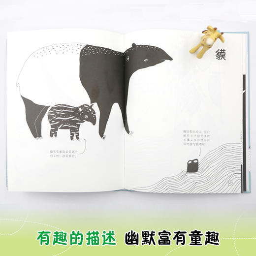 你可以替我保密吗 瑞典画家动物绘本 极简黑白画风 勾勒出54种动物的爆笑隐私 商品图4