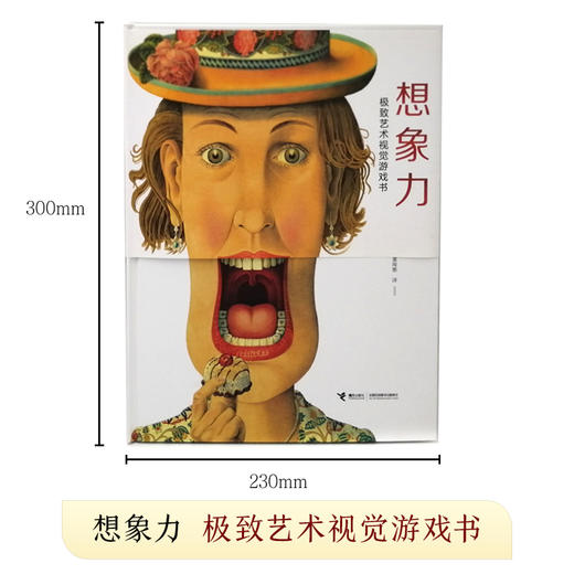 想象力：ji致艺术视觉游戏书 商品图4