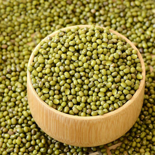 云南高原生态有机天然绿豆400g