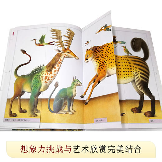 想象力：ji致艺术视觉游戏书 商品图2