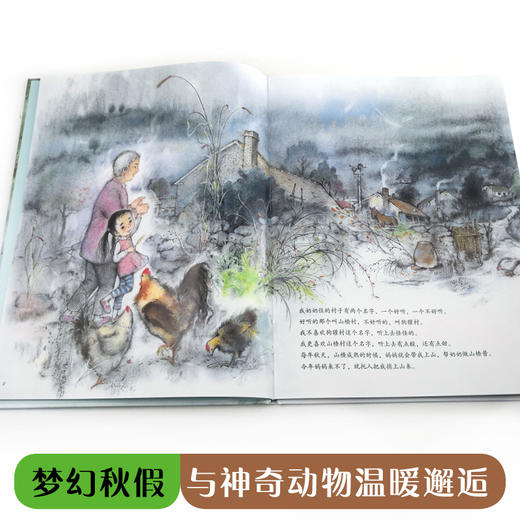 娃娃龙原创图画书 彭懿暖心幻想图画书:山楂村和狗獾村 商品图4