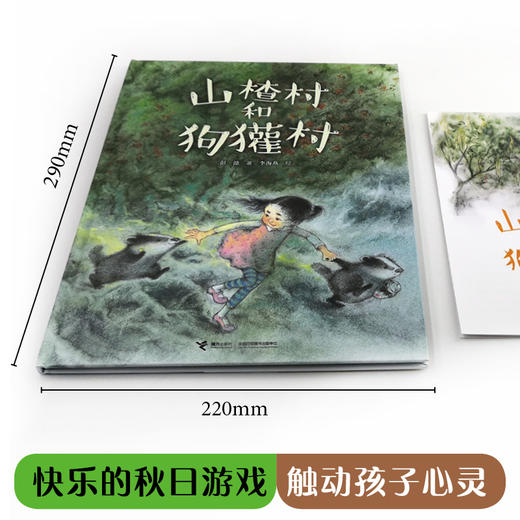娃娃龙原创图画书 彭懿暖心幻想图画书:山楂村和狗獾村 商品图2