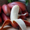 【红美人香蕉 5斤】| 果皮鲜红 果肉甜香浓郁 不仅仅是好吃 营养更丰富 商品缩略图1