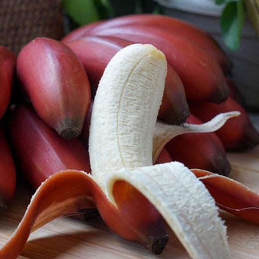 【红美人香蕉 5斤】| 果皮鲜红 果肉甜香浓郁 不仅仅是好吃 营养更丰富 商品图1