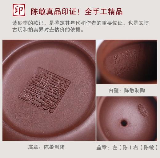 掇球壶紫砂壶茶壶宜兴纯全手工原矿紫泥助工陈敏收藏精品茶具泡茶壶310cc 商品图8