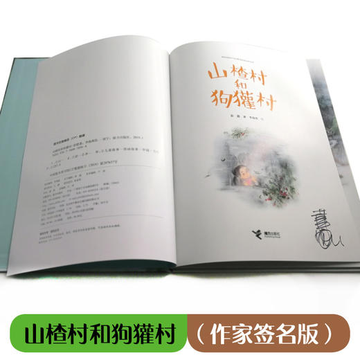 娃娃龙原创图画书 彭懿暖心幻想图画书:山楂村和狗獾村 商品图1