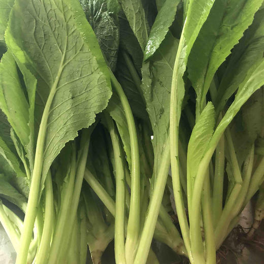 原生态春菜500克