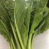 原生态春菜500克 商品缩略图0