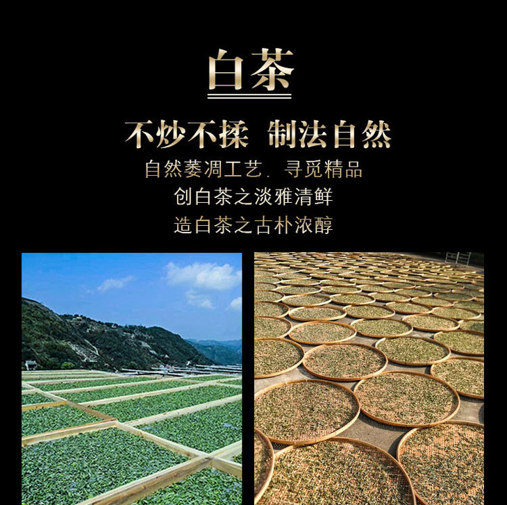 启山白茶 福鼎白茶 茶叶 南山岗 贡眉 400g
