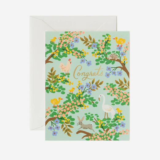 Rifle Paper Co.纸质贺卡 生日贺卡 商品图11