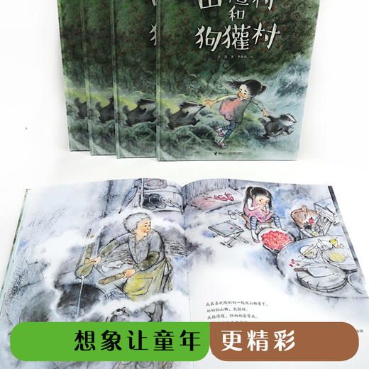 娃娃龙原创图画书 彭懿暖心幻想图画书:山楂村和狗獾村 商品图3