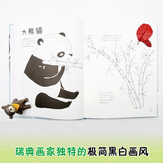 你可以替我保密吗 瑞典画家动物绘本 极简黑白画风 勾勒出54种动物的爆笑隐私 商品图3