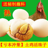 13天新鲜活珠子鸡胚蛋凤凰喜蛋非毛鸡蛋4-40枚 商品缩略图3