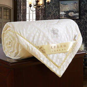 FH-全棉夏凉被空调被儿童被纤维学生棉被芯 TZW