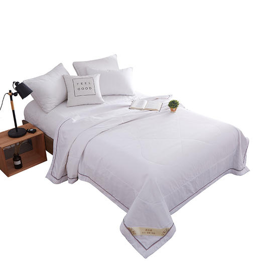 FH-全棉夏凉被空调被儿童被纤维学生棉被芯 TZW 商品图3