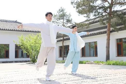 太极涨功球 商品图1