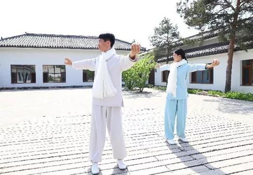 太极涨功球 商品图2