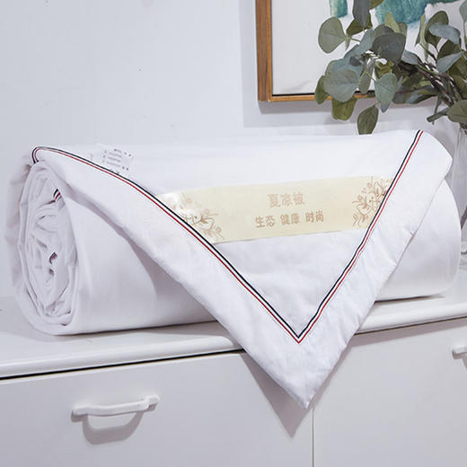 FH-全棉夏凉被空调被儿童被纤维学生棉被芯 TZW 商品图1