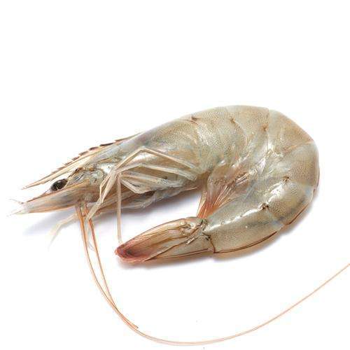 马来西亚南美白对虾 500g/盒 26-29pcs - since2014福莱喜生鲜旗舰店