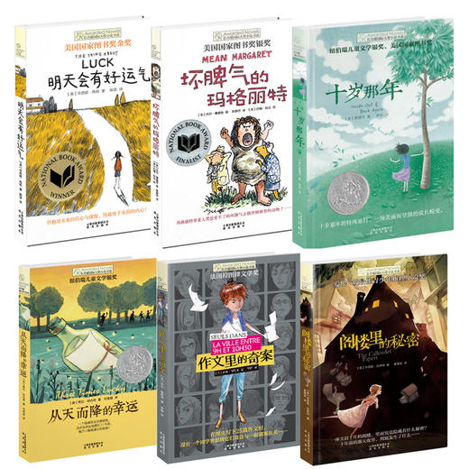 全6册 长青藤国际大奖小说书系 商品图0