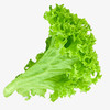 绿生菜  250g 商品缩略图2