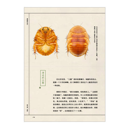 海错图笔记 张辰亮 著 解读故宫藏品《海错图》中的生物密码 中信出版社图书 正版书籍 商品图8