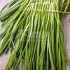 韭菜串 5串 烧烤食材户外露营半成品 商品缩略图1