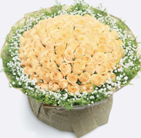 【极致浪漫】永恒经典99朵蜜桃雪山玫瑰超大花束