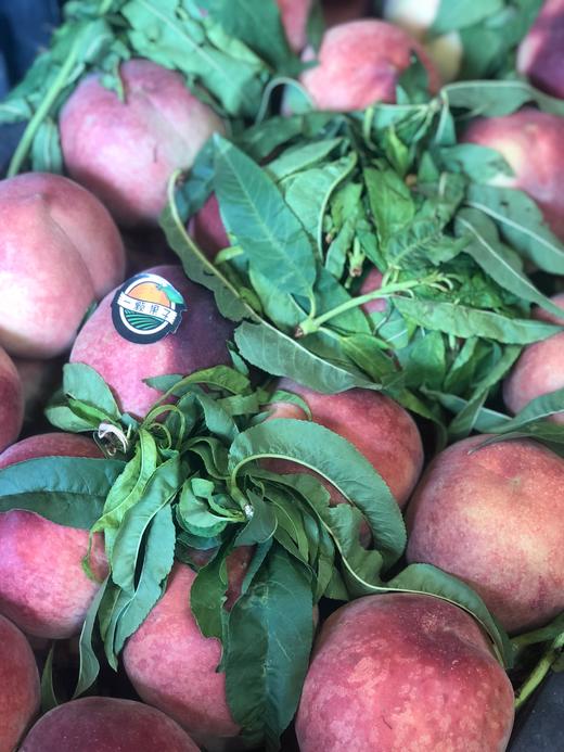 特价突围大个毛桃500克左右果体偏软