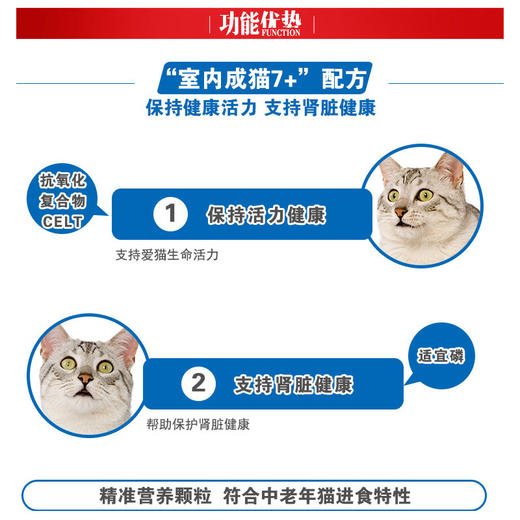 5kg 猫宁悠跃